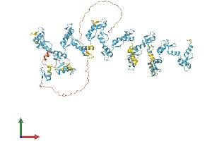 AlphaFold protein structure predicition of Human Recombinant ZNF721 Protein, UniprotID Q8TF20