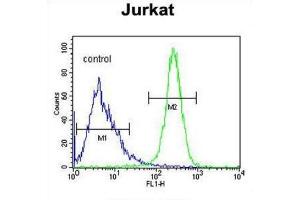 Flow Cytometry (FACS) image for anti-Angel Homolog 1 (ANGEL1) antibody (ABIN3003977) (ANGEL1 抗体)