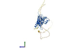 Protein Structure (PS) image for Sorting Nexin 11 (SNX11) (AA 1-270) protein (His tag) (ABIN7546188)