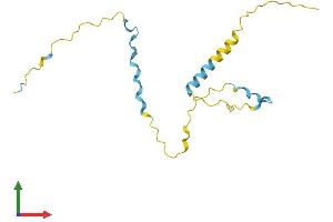 Protein Structure (PS) image for Proline Rich 13 (PRR13) (AA 1-148) protein (His tag) (ABIN7550993)