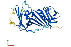 Protein Structure (PS) image for Cell Cycle Checkpoint Protein RAD1 (RAD1) (AA 1-280) protein (His tag) (ABIN7565140)