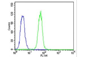 Flow cytometric analysis of K562 cells using CDK5 Antibody (C-term)(green, Cat(ABIN6242783 and ABIN6577637)) compared to an isotype control of rabbit IgG(blue). (CDK5 抗体  (C-Term))