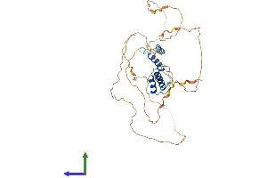 Protein Structure (PS) image for Single Stranded DNA Binding Protein 3 (SSBP3) (AA 1-388) protein (His tag) (ABIN7546393)
