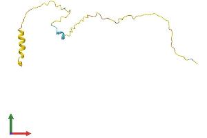AlphaFold protein structure predicition of Human Recombinant PPDPF Protein, UniprotID Q9H3Y8