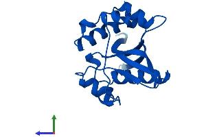AlphaFold protein structure predicition of Mouse Recombinant Sat2 Protein, UniprotID Q6P8J2