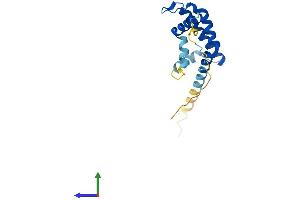 Protein Structure (PS) image for ADP-Ribosylation Factor-Like 2 Binding Protein (ARL2BP) (AA 1-163) protein (His tag) (ABIN7552175)