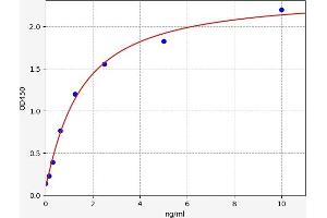 Typical standard curve (TFAP2B ELISA 试剂盒)