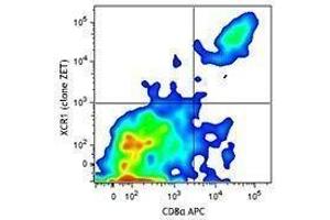 Flow Cytometry (FACS) image for anti-Chemokine (C Motif) Receptor 1 (XCR1) antibody (ABIN2665462) (XCR1 抗体)
