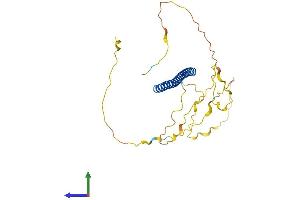 AlphaFold protein structure predicition of Mouse Recombinant Fosl1 Protein, UniprotID P48755