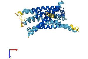 AlphaFold protein structure predicition of Mouse Recombinant Tas2r129 Protein, UniprotID Q7M709 (TAS2R129 Protein (AA 1-320) (His tag))