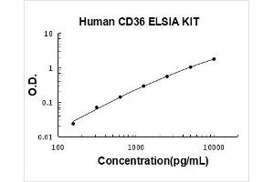 Human CD36/SR-B3 PicoKine ELISA Kit standard curve