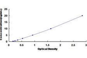 ELISA image for Pregnancy-Associated Plasma Protein A, Pappalysin 1 (PAPPA) ELISA Kit (ABIN414390)