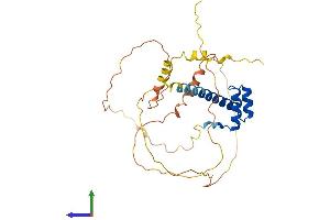 Protein Structure (PS) image for Paired-Like Homeobox 2b (PHOX2B) (AA 1-314) protein (His tag) (ABIN7550818)