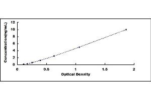 Typical standard curve (SNCG ELISA 试剂盒)