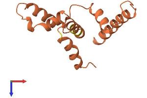 AlphaFold protein structure predicition of Human Recombinant CLLU1 Protein, UniprotID Q5K131