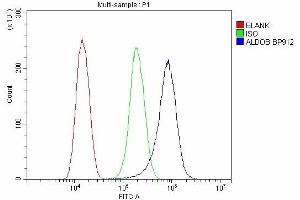 Flow Cytometry analysis of SiHa cells using anti-ALDOB antibody (ABIN7602563). (ALDOB 抗体  (AA 85-364))