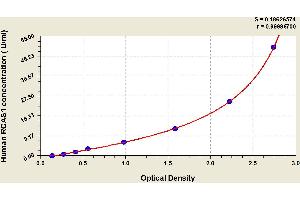 Typical standard curve (RCAS1 ELISA 试剂盒)