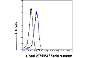 Flow Cytometry (FACS) image for anti-ATPase, H+ Transporting, Lysosomal Accessory Protein 2 (ATP6AP2) (C-Term) antibody (ABIN185092)
