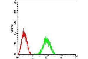 Flow cytometric analysis of HL-60 cells using CD204 mouse mAb (green) and negative control (red). (Macrophage Scavenger Receptor 1 抗体  (AA 275-451))