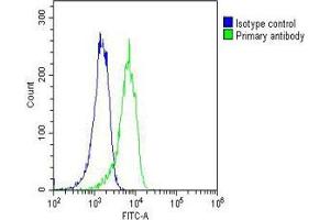 Overlay histogram showing A431 cells stained with (ABIN6242583 and ABIN6577176)(green line). (RAB1B 抗体  (AA 1-201))