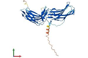 Protein Structure (PS) image for Vacuolar Protein Sorting-Associated Protein 26A (VPS26A) (AA 1-327) protein (His tag) (ABIN7556027)