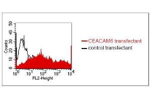 FACS analysis of BOSC23 cells using MUS. (CEACAM5/6 抗体)