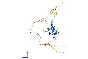 Protein Structure (PS) image for Forkhead Box L1 (FOXL1) (AA 1-336) protein (His tag) (ABIN7557856)