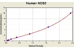 Nitric Oxide Synthase 2, Inducible (NOS2) ELISA Kit
