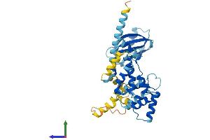 Protein Structure (PS) image for Paraneoplastic Antigen MA1 (PNMA1) (AA 1-353) protein (His tag) (ABIN7559104)