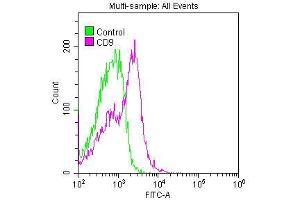 Overlay histogram showing Jurkat cells stained with ABIN7127286 (red line) at 1:50. (Recombinant CD9 抗体)