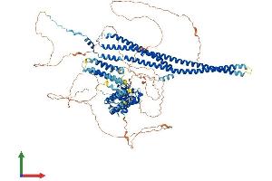 Protein Structure (PS) image for Histocompatibility (Minor) HA-1 (HMHA1) (AA 1-1116) protein (His tag) (ABIN7563660)