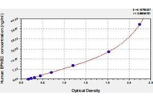 Typical Standard Curve (EPH Receptor B2 ELISA 试剂盒)