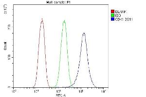 Flow Cytometry analysis of PC-3 cells using anti-CDK1 antibody (ABIN7602240). (CDK1 抗体  (AA 66-297))