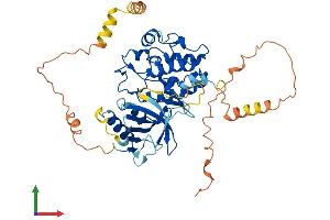 Protein Structure (PS) image for Mitogen-Activated Protein Kinase Kinase Kinase 8 (MAP3K8) (AA 1-467) protein (His tag) (ABIN7563607)