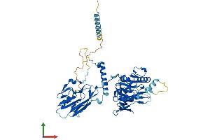 Protein Structure (PS) image for beta-1,4-N-Acetyl-Galactosaminyl Transferase 1 (B4GALNT1) (AA 1-533) protein (His tag) (ABIN7556933)