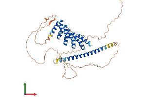 Protein Structure (PS) image for GA-Binding Protein Subunit beta-2 (GABPB2) (AA 1-414) protein (His tag) (ABIN7556745)