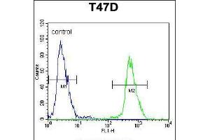 Flow cytometric analysis of T47D cells (right histogram) compared to a negative control cell (left histogram). (NUP210 抗体  (N-Term))