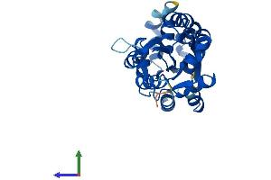 Protein Structure (PS) image for Uroporphyrinogen III Synthase (UROS) (AA 1-265) protein (His tag) (ABIN7548291)