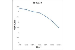 Antigen: 0. (c-MYC 抗体  (pThr358))