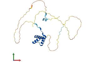 Protein Structure (PS) image for NK2 Homeobox 8 (NKX2-8) (AA 1-235) protein (His tag) (ABIN7562581)