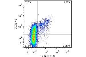 Intracellular staining of human peripheral blood cells (gated on CD4+ cells) with anti-FoxP3 (clone 3G3). (FOXP3 抗体  (PE))