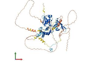 AlphaFold protein structure predicition of Mouse Recombinant Epb41l4a Protein, UniprotID P52963