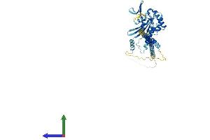 Protein Structure (PS) image for Septin 14 (SEPT14) (AA 1-432) protein (His tag) (ABIN7545915)