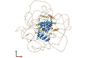 AlphaFold protein structure predicition of Human Recombinant TEX14 Protein, UniprotID Q8IWB6