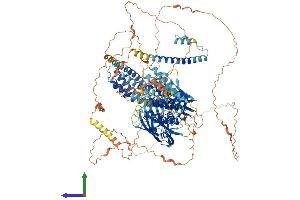 Protein Structure (PS) image for Breakpoint Cluster Region (BCR) (AA 1-1270) protein (His tag) (ABIN7564104)