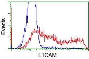 Flow Cytometry (FACS) image for anti-L1 Cell Adhesion Molecule (L1CAM) antibody (ABIN1499087) (L1CAM 抗体)