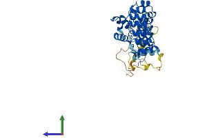 Protein Structure (PS) image for Ankyrin Repeat and SOCS Box-Containing 1 (ASB1) (AA 1-336) protein (His tag) (ABIN7556305)