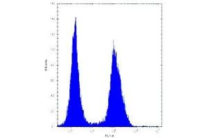 ASS1 antibody flow cytometric analysis of Jurkat cells (right histogram) (ASS1 抗体  (AA 281-310))