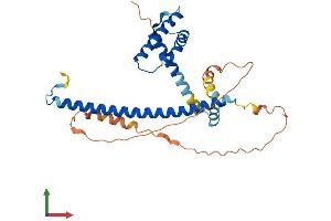 AlphaFold protein structure predicition of Human Recombinant FSBP Protein, UniprotID O95073