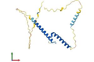 Protein Structure (PS) image for Basic Helix-Loop-Helix Family, Member A15 (BHLHA15) (AA 1-197) protein (His tag) (ABIN7561785)